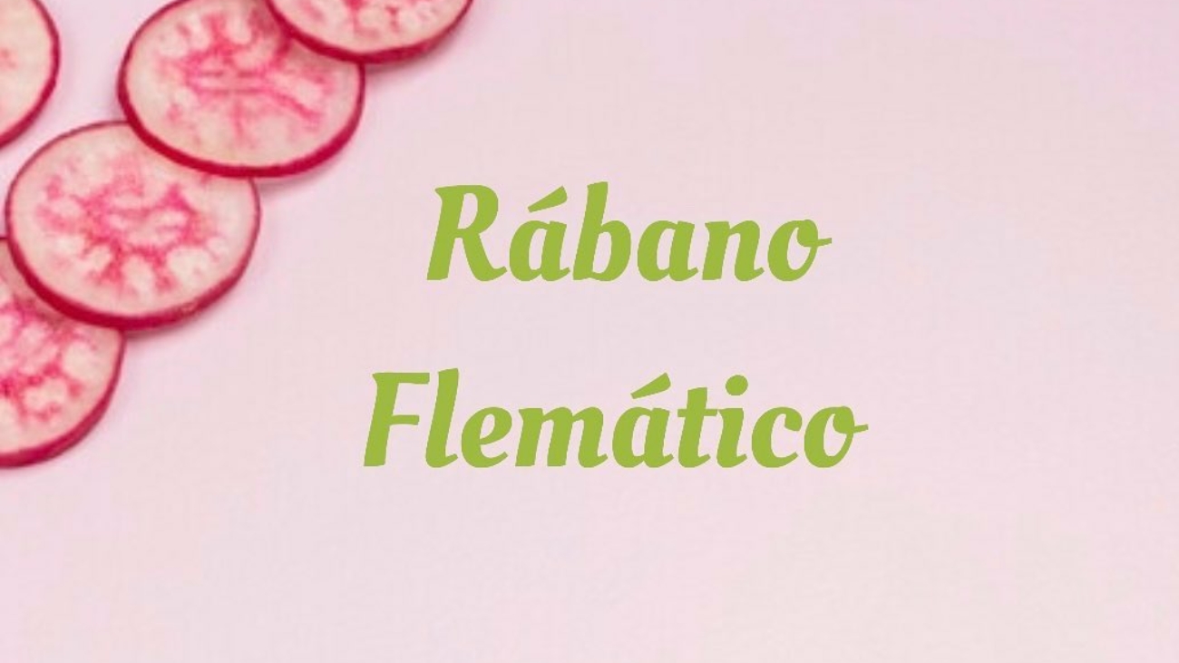 Rábano Flemático